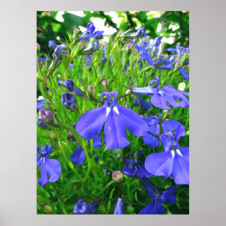 blauwe bloemen poster