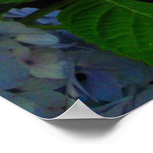 Blauwe bloemen poster (Hoek)