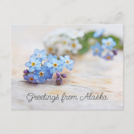 Blauwe Bloemen Vergeet me niet Groeten uit Alaska Briefkaart