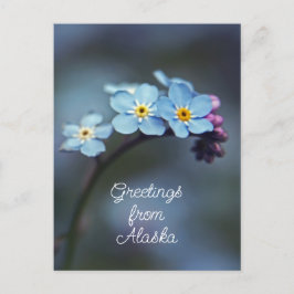 Blauwe Bloemen Vergeet-mij-nietje Groeten uit Alas Briefkaart