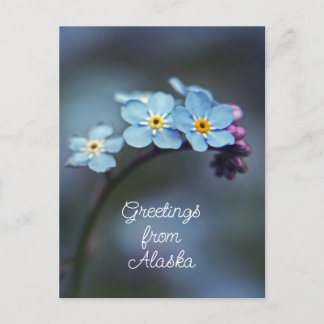 Blauwe Bloemen Vergeet-mij-nietje Groeten uit Alas Briefkaart
