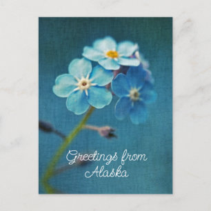 Blauwe Bloemen Vergeet-mij-nietje Groeten uit Alas Briefkaart