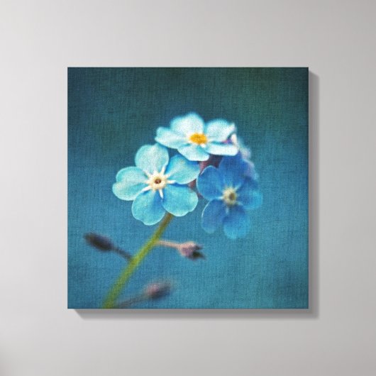 Blauwe Bloemen Vergeet-mij-nietjes Macro Fotografi Canvas Afdruk (Voorkant)