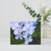 Blauwe Bloemige Bokeh Briefkaart (Staand voorkant)