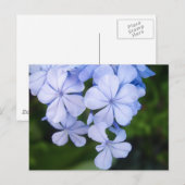 Blauwe Bloemige Bokeh Briefkaart (Voorkant / Achterkant)
