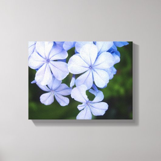 Blauwe Bloemige Bokeh Canvas Afdruk (Voorkant)