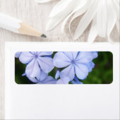 Blauwe Bloemige Bokeh Etiket (Insitu)