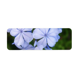 Blauwe Bloemige Bokeh Etiket