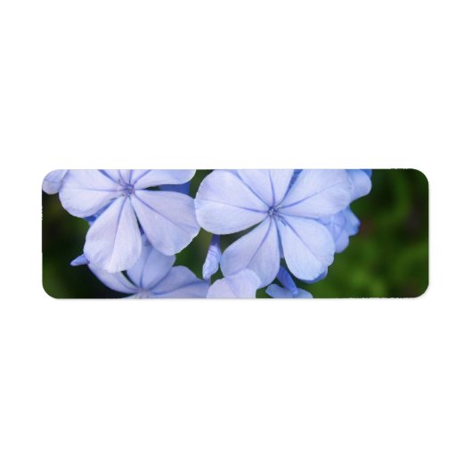 Blauwe Bloemige Bokeh Etiket (Voorkant)