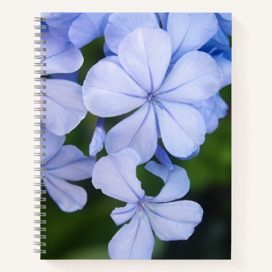 Blauwe Bloemige Bokeh Notitieboek (Voorkant)