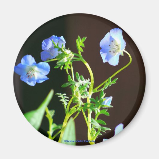 Blauwe bloemmagneet magneet (Voorkant)