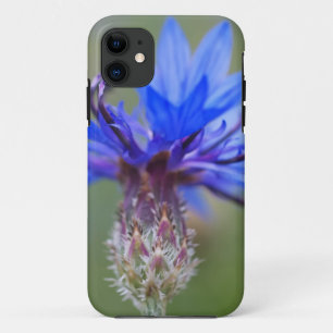Blauwe Bloesems Lieveheersbeestje Vrede Liefde Lot iPhone 11 Hoesje