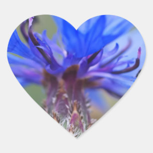 Blauwe Bloesems Lieveheersbeestje Vrede Liefde Lot Hart Sticker