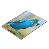 Blauwe boedgerigar perched briefkaart vierkant sti notitieboek (Linkerzijde)