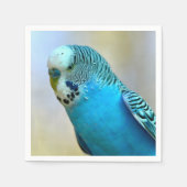 Blauwe boedgerigar perched briefkaart vierkant sti servet (Voorkant)
