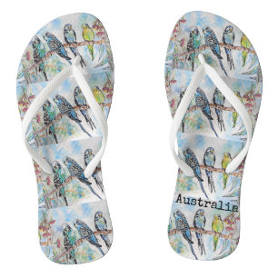 Blauwe boedgie Australische vogel boedgies Thames Teenslippers