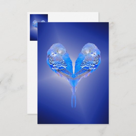 Blauwe boer (Voorkant / Achterkant)