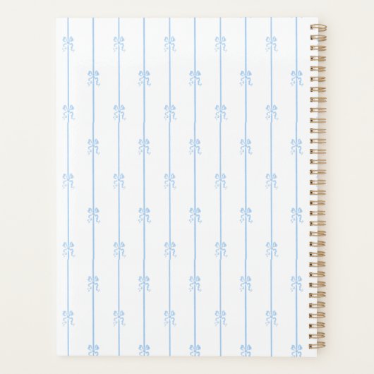 Blauwe bogen en strepen planner (Achterkant)