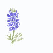 Blauwe bonnetjes schilderen Kieuwadres Verzendlabe Etiket