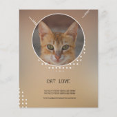 Blauwe boomkathaai flyer (Voorkant)