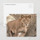 Blauwe boomklimmen, Oeganda-Afrika Briefkaart (Voorkant / Achterkant)