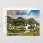 Blauwe borrelhoes - Verzamelbaar Briefkaart (Voorkant / Achterkant)