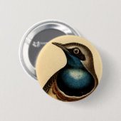 Blauwe borstvogel ronde button 5,7 cm (Voorkant /achterkant)