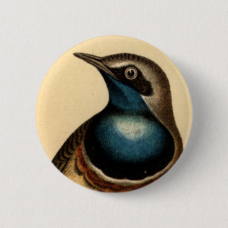 Blauwe borstvogel ronde button 5,7 cm