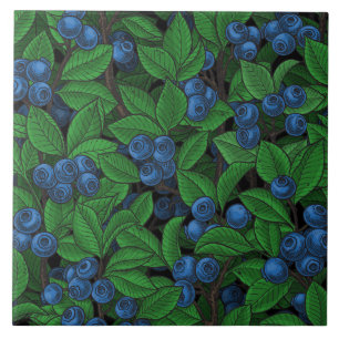 Blauwe bosbes tegeltje