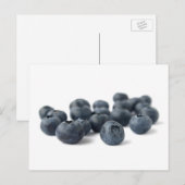 Blauwe bosbessen, vers briefkaart (Voorkant / Achterkant)