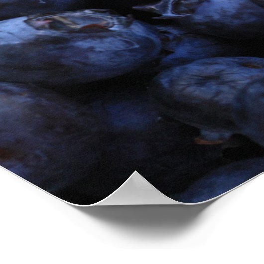 Blauwe bosbessen, vers poster (Hoek)