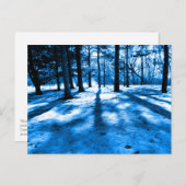 Blauwe bosbomen schaduwen licht briefkaart (Voorkant / Achterkant)