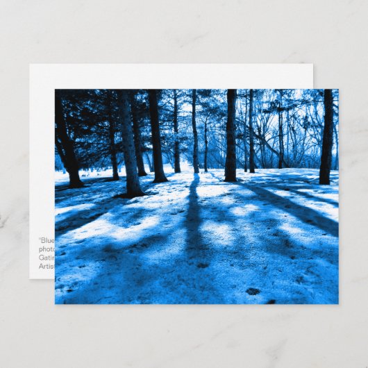 Blauwe bosbomen schaduwen licht briefkaart (Voorkant / Achterkant)