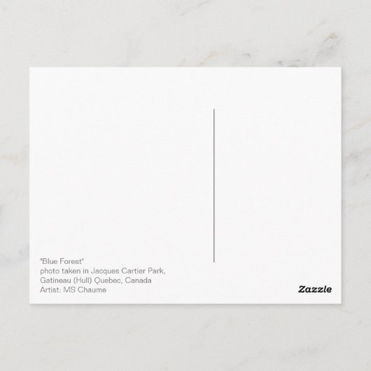 Blauwe bosbomen schaduwen licht briefkaart (Achterkant)