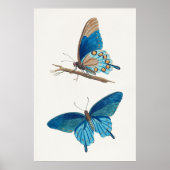 Blauwe boter poster (Voorkant)