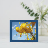 Blauwe briefkaarten Summer Yellow Tiger Lilies (Staand voorkant)