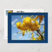 Blauwe briefkaarten Summer Yellow Tiger Lilies (Voorkant / Achterkant)