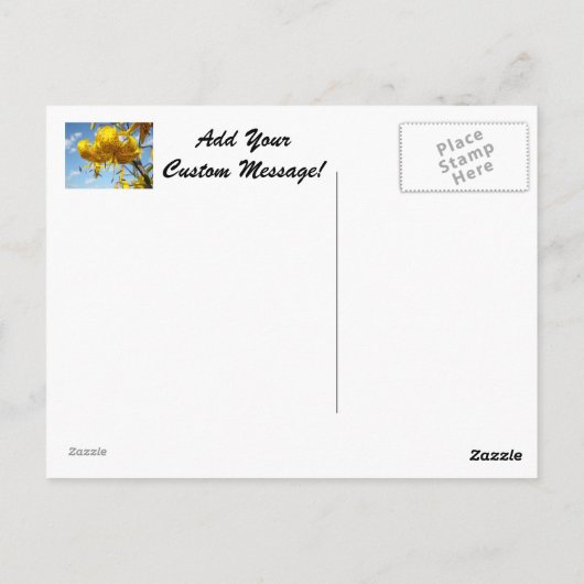 Blauwe briefkaarten Summer Yellow Tiger Lilies (Achterkant)