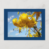 Blauwe briefkaarten Summer Yellow Tiger Lilies (Voorkant)