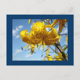 Blauwe briefkaarten Summer Yellow Tiger Lilies