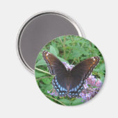 Blauwe & Bruine vlinder ~ magneet (Voorkant / Achterkant)