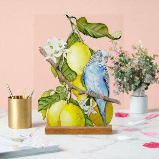 Blauwe Budgie in citroenboom waterverf botanische Acryl Bord