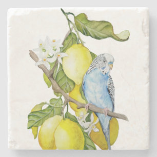 Blauwe Budgie in citroenboom waterverf botanische Stenen Onderzetter