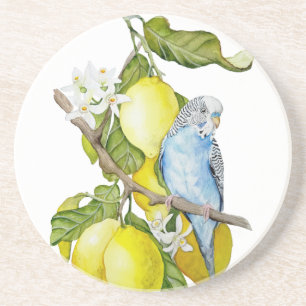 Blauwe Budgie in citroenboom waterverf botanische Zandsteen Onderzetter