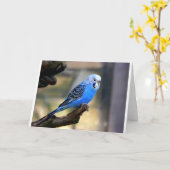 Blauwe Budgie Kaart (Gele Bloem)