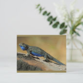 Blauwe buikspier briefkaart (Staand voorkant)