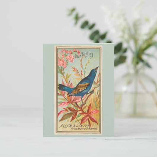 Blauwe Bunting Briefkaart (Staand voorkant)