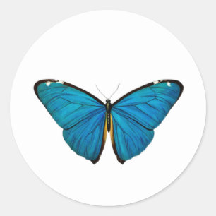 BLAUWE BUTTERFLY ROND CUSTOM STICKER