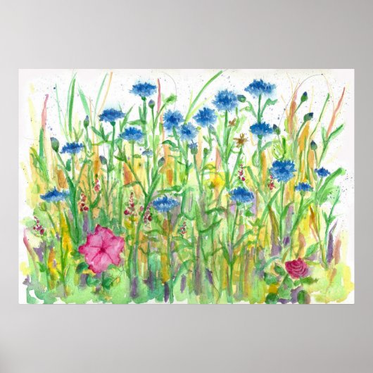 Blauwe Button Cornflower Waterverf Poster (Voorkant)