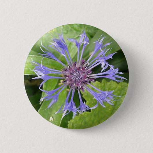 Blauwe Button van Cornflower (Voorkant)
